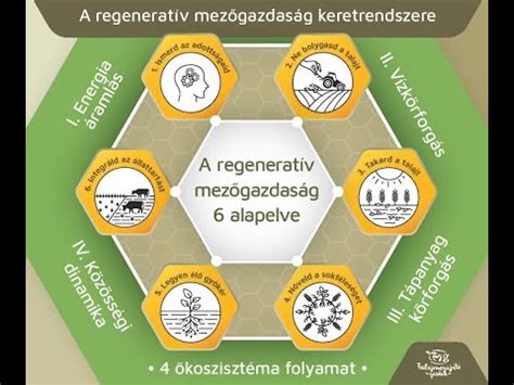 Regeneratív mezőgazdaság: talajmegújító módszerek
