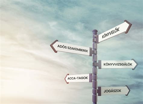 Könyvelő és vállalkozó együttműködése