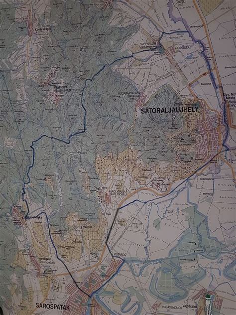 Erdészeti térkép