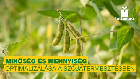 Infografika a permetlé mennyiség és cseppméret összefüggéséről