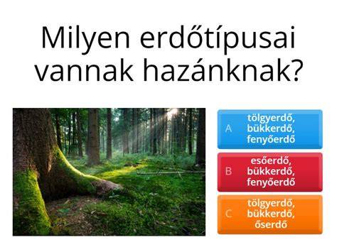 diagram: hazai erdőosztályozás - őshonos erdők vs. kultúrerdők