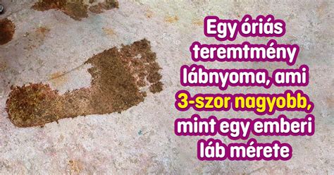 a garázsban rejtőzködő titokzatos tárgy