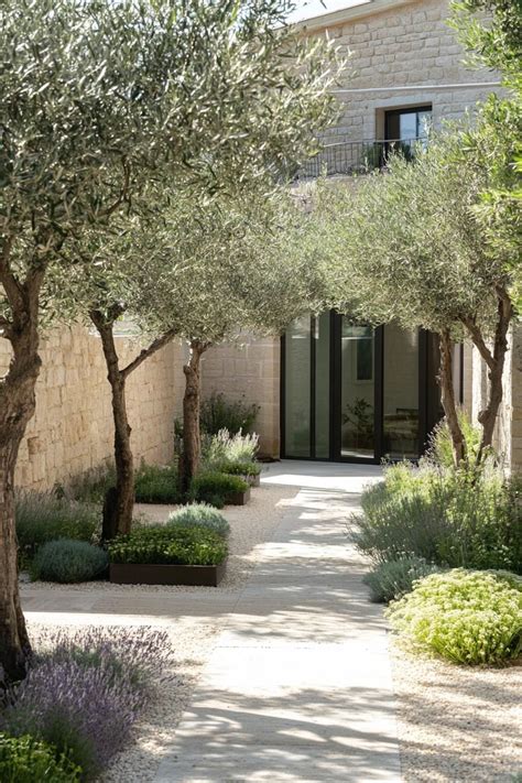 Private garden with olive trees and Mediterranean vegetation