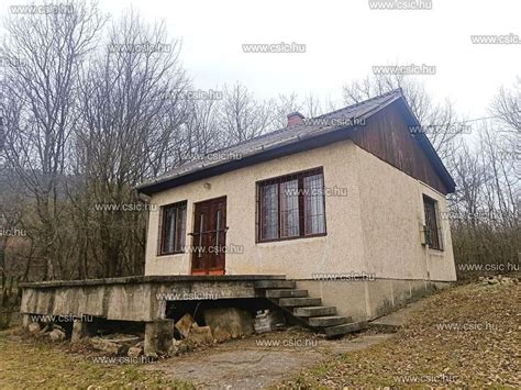 Nagy, parkosítható telek egy ház mögött