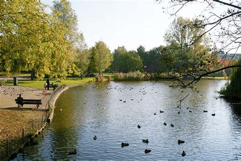 Tó a Robinson Parkban