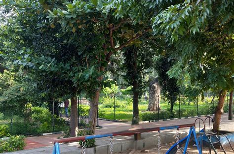 Robinson Park panoráma