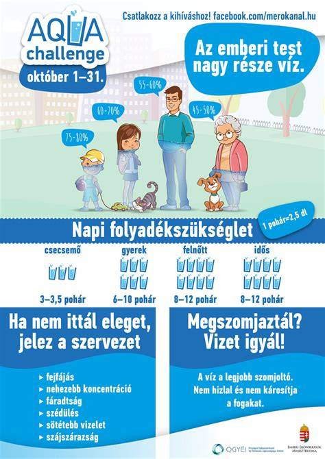 Infografika: A mellékvízmérő és főelzáró kapcsolata