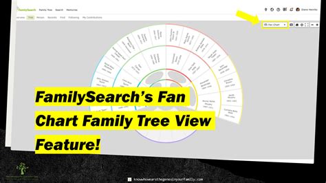 FamilySearch felület