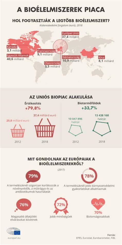 Infografika: Telekalakítási és beépítési szabályok ábrája