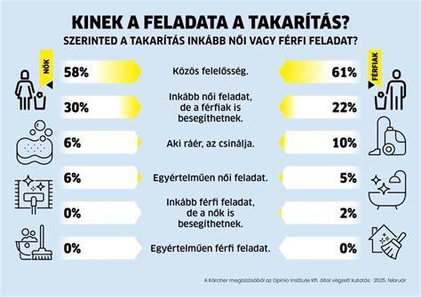 Infografika: Kéménybélelés költségviselésének útja közös tulajdonban