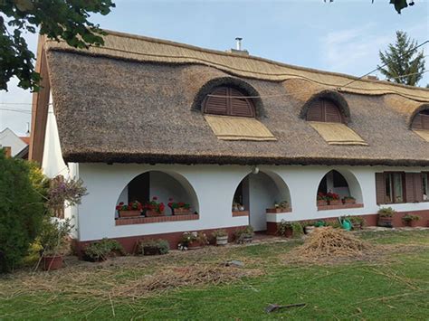 hosszúház nádtető