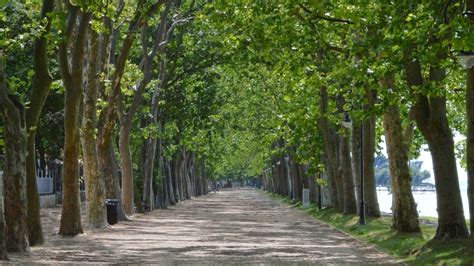 Balatonföldvár látképe