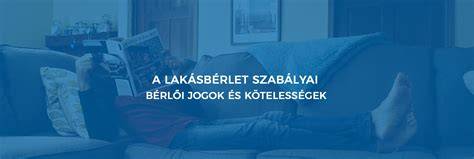 Infografika: Szigetszentmiklós önkormányzati lakásainak elérhetősége és a bérlői jogok vázlata