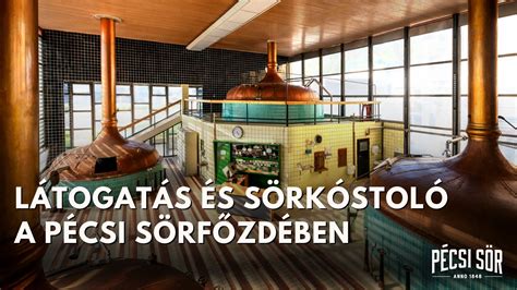 Sörfőzde rézüstökkel