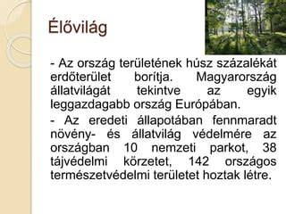 Erdei faállomány és erdőterület Magyarország térképén
