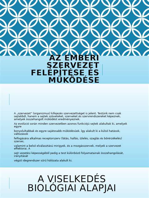 Infografía: Szervezet felépítése és fő feladatok